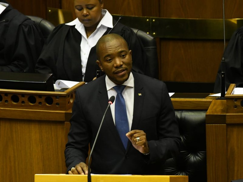 Mmusi Maimane Parly