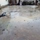 Sea Cow Lake in Durban sewage spill