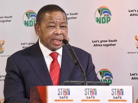 Nzimande