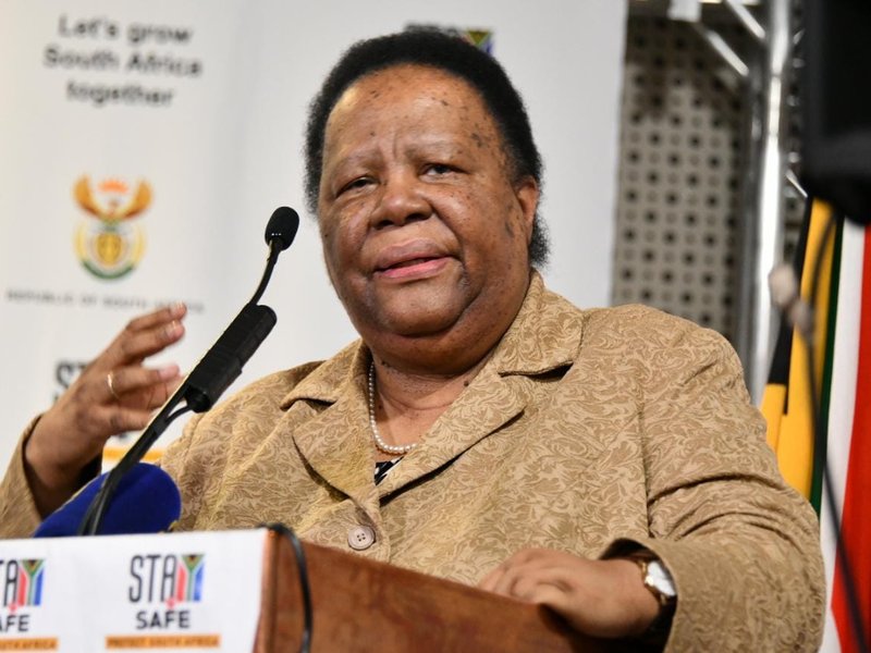 Naledi Pandor GCIS