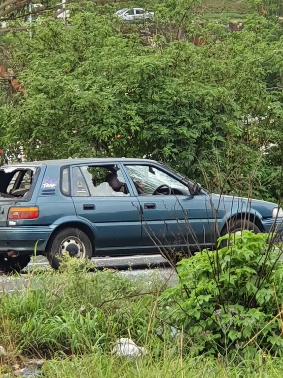 car torched in durban protest