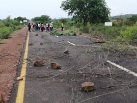 Kruger National Park