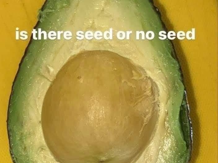Avocado huh