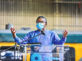 Mbalula Fikile Prasa