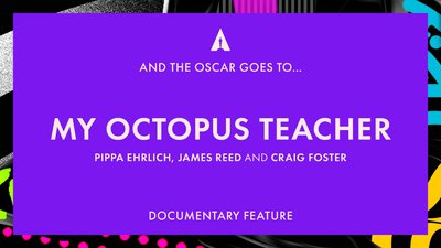 SA documentary 'My Octopus Teacher' wins at the Oscars! - Vimarsana News