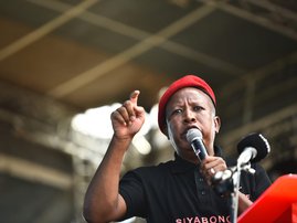 Julius Malema