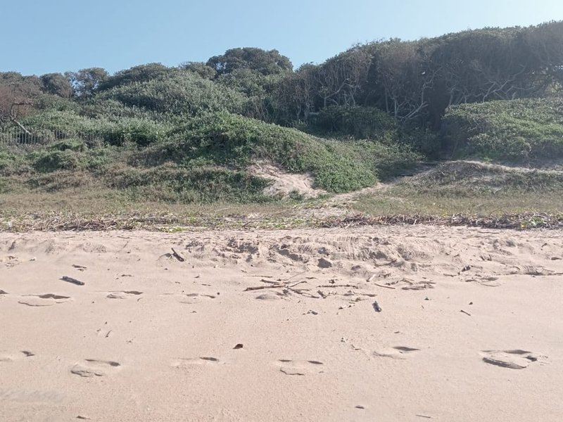 Sun's out, buns out: Durban's infamous nude beaches