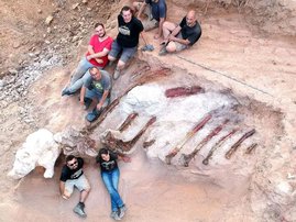 Skeleton of huge dinosaur unearthed in Portugal