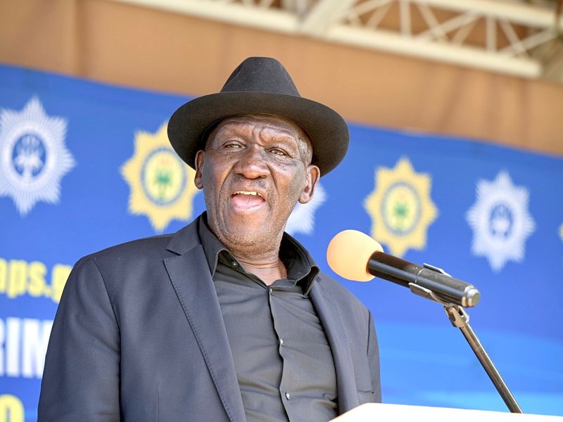 festive season bheki cele