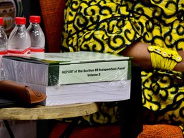Phala Phala report to be considered by MPs next week, says Mapisa-Nqakula