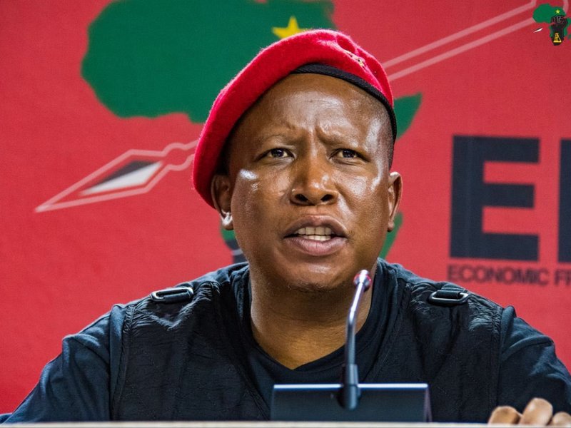 EFF leader Julius Malema Presser