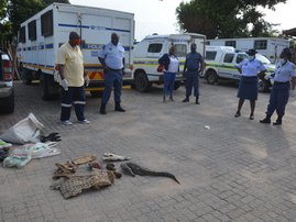 Mpumalanga man arrested for possession of monkey, hyena meat