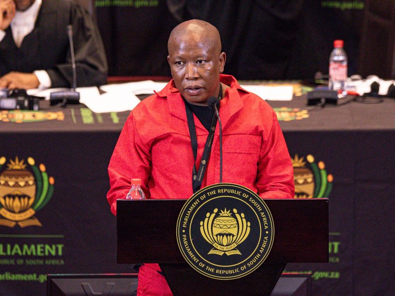 Julius Malema