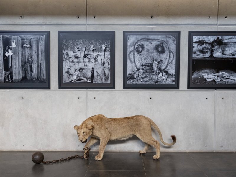 SA art show highlights destructive ties between Man and Nature