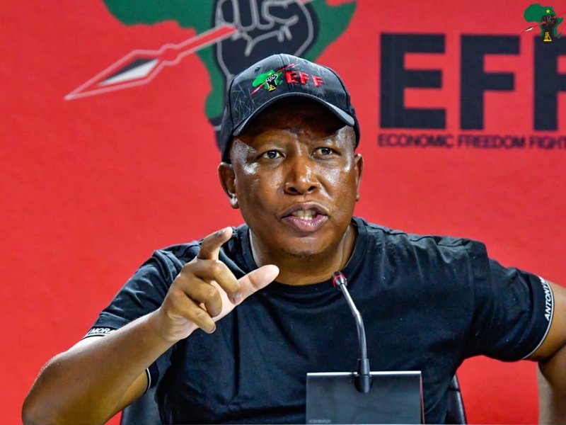 EFF leader Julius Malema presser