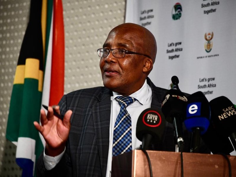 Magudumana was not after Dr Pashy's identity - Motsoaledi