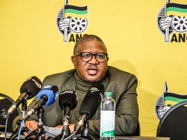 ANC 'concerned' by rise in gun violence - Mbalula