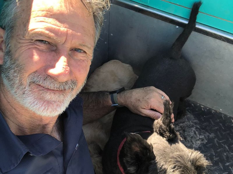 Honde vlieg uit Sudan om hereenig te word met familie in SA