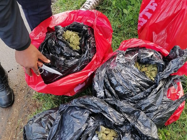 Dagga cleanup op
