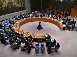 UNSC