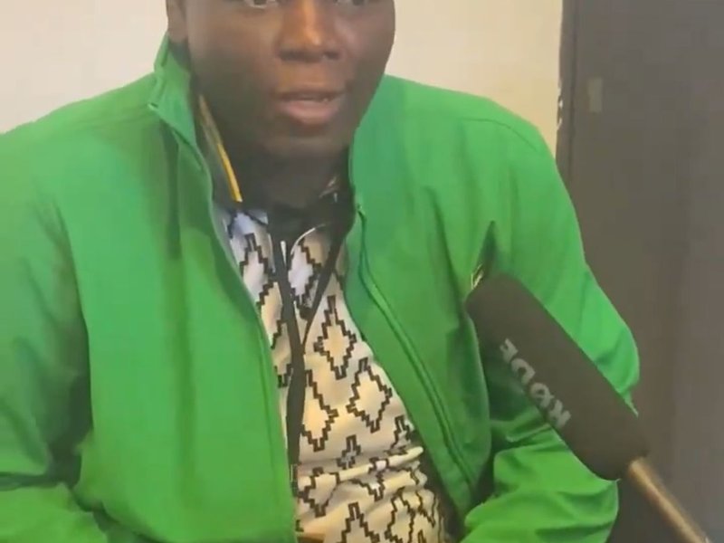 Ronald Lamola - ANC regalia
