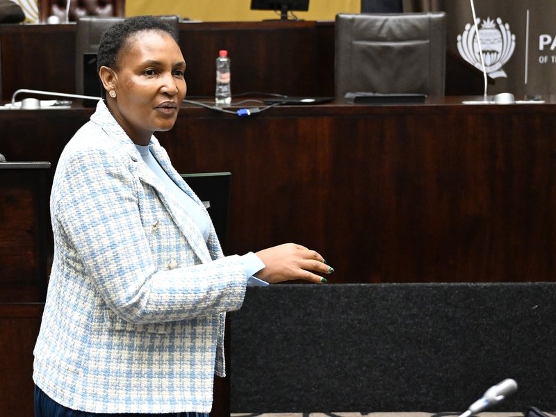 Thembi Simelane denies ‘improper relationship’ with VBS contractor