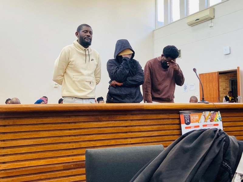 Phala Phala farm theft accused