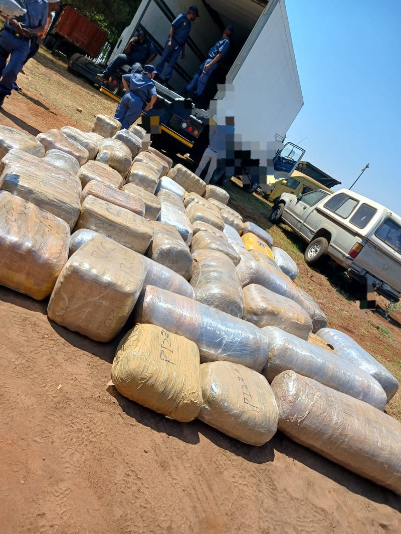 Mpumalanga dagga bust