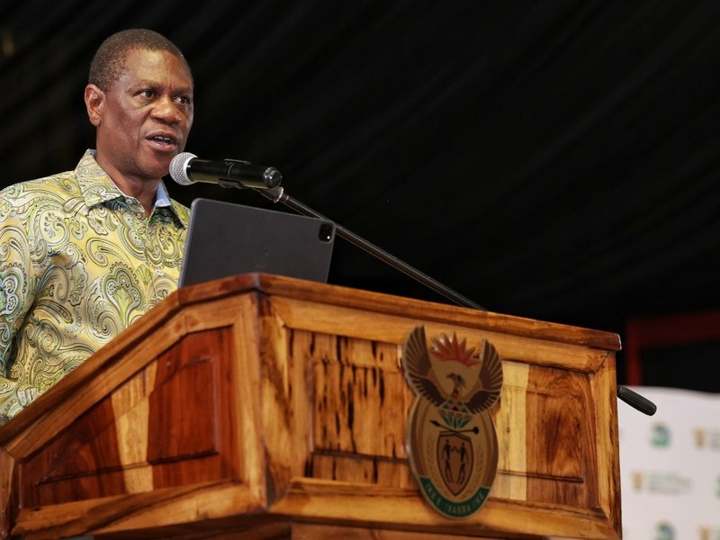 Mashatile launches 16 Days of Activism campaign