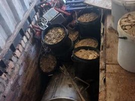 Mpumalanga clandestine drug laboratory