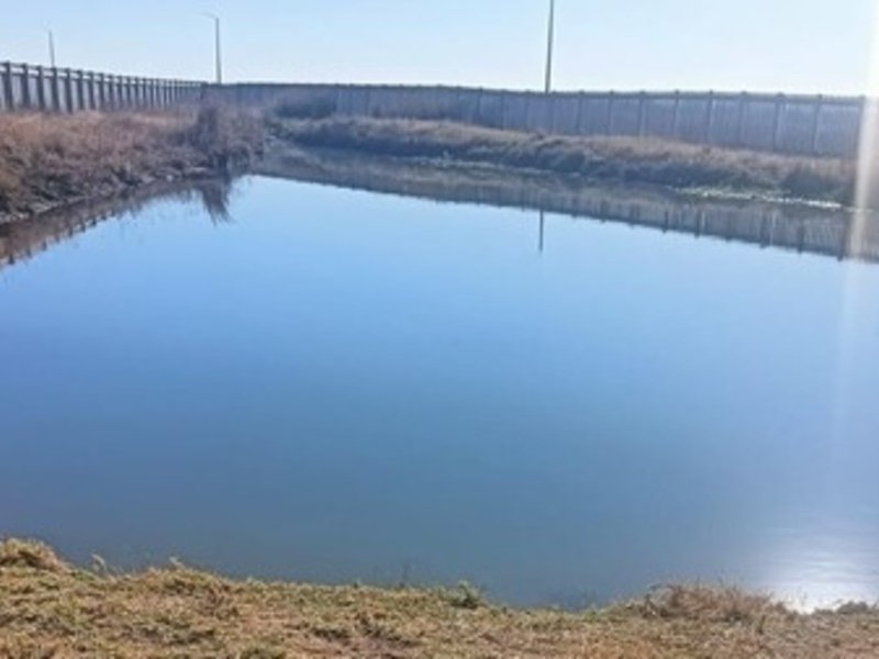 Duduza Pond