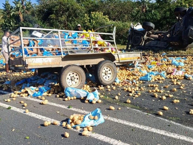 Four killed in R61 crash near Shelly Beach