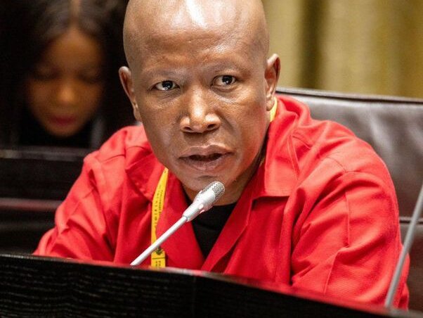 EFF leader Julius Malema