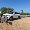 SANParks steps up festive season security as stop-and-searches intensify