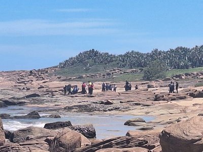 Human remains found at Pennington Beach amid search for missing swimmers