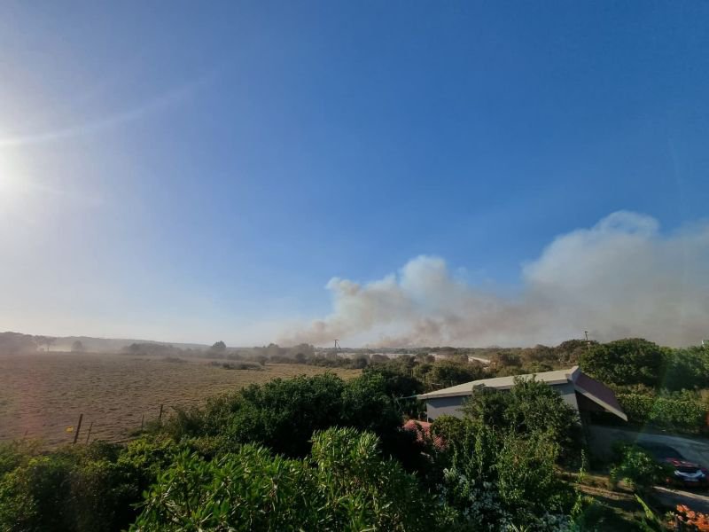 Kouga resident ready to evacuate dogs as fires rage