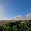 Kouga resident ready to evacuate dogs as fires rage
