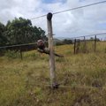 Live ESKOM wires