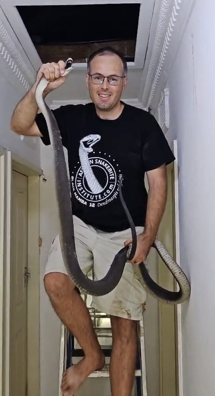 Black mamba was found lurking in a Durban home