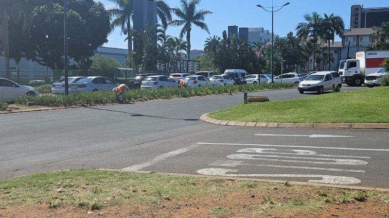 Motorists queue for fuel