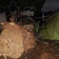 Fallen tree on a shack