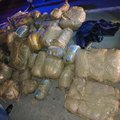 dagga bust