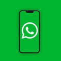 WhatsApp on phone