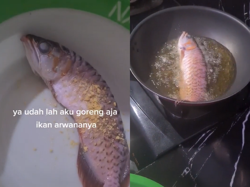 WATCH: When you ask him to clean the fish tank for the 100th time and he doesn't...