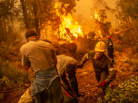 Thousands evacuated as wildfires ravage New Mexico