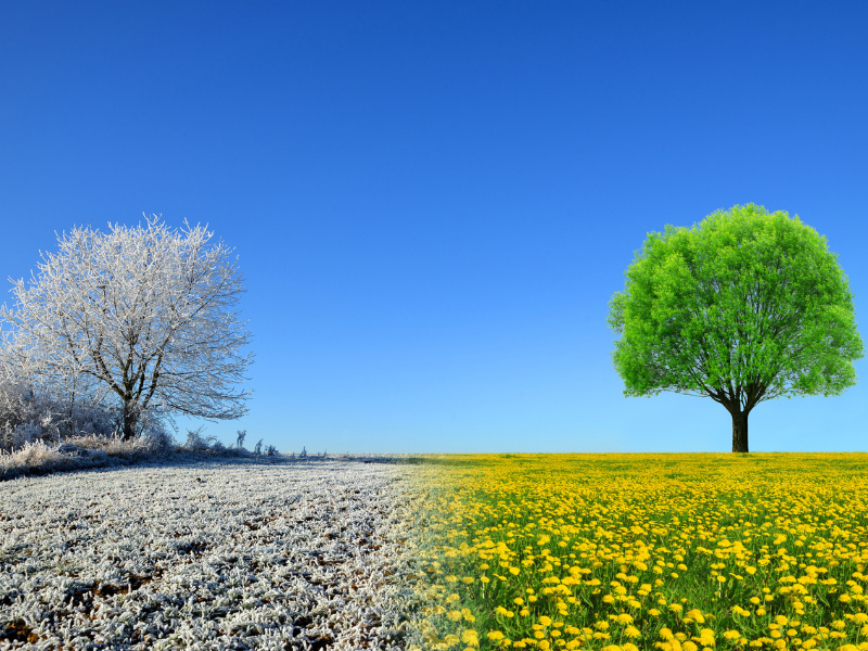 Winter to Spring