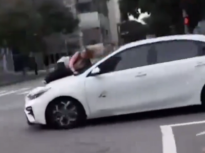 Woman jumps onto moving car to stop dognappers from getting away