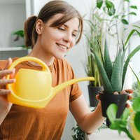 Woman is watering plants at home using yellow watering can