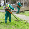 Workers cutting grass in an urban setting