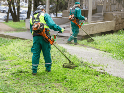 What grass cutting in New Zealand looks like?